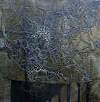 Trishul 1